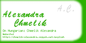 alexandra chmelik business card